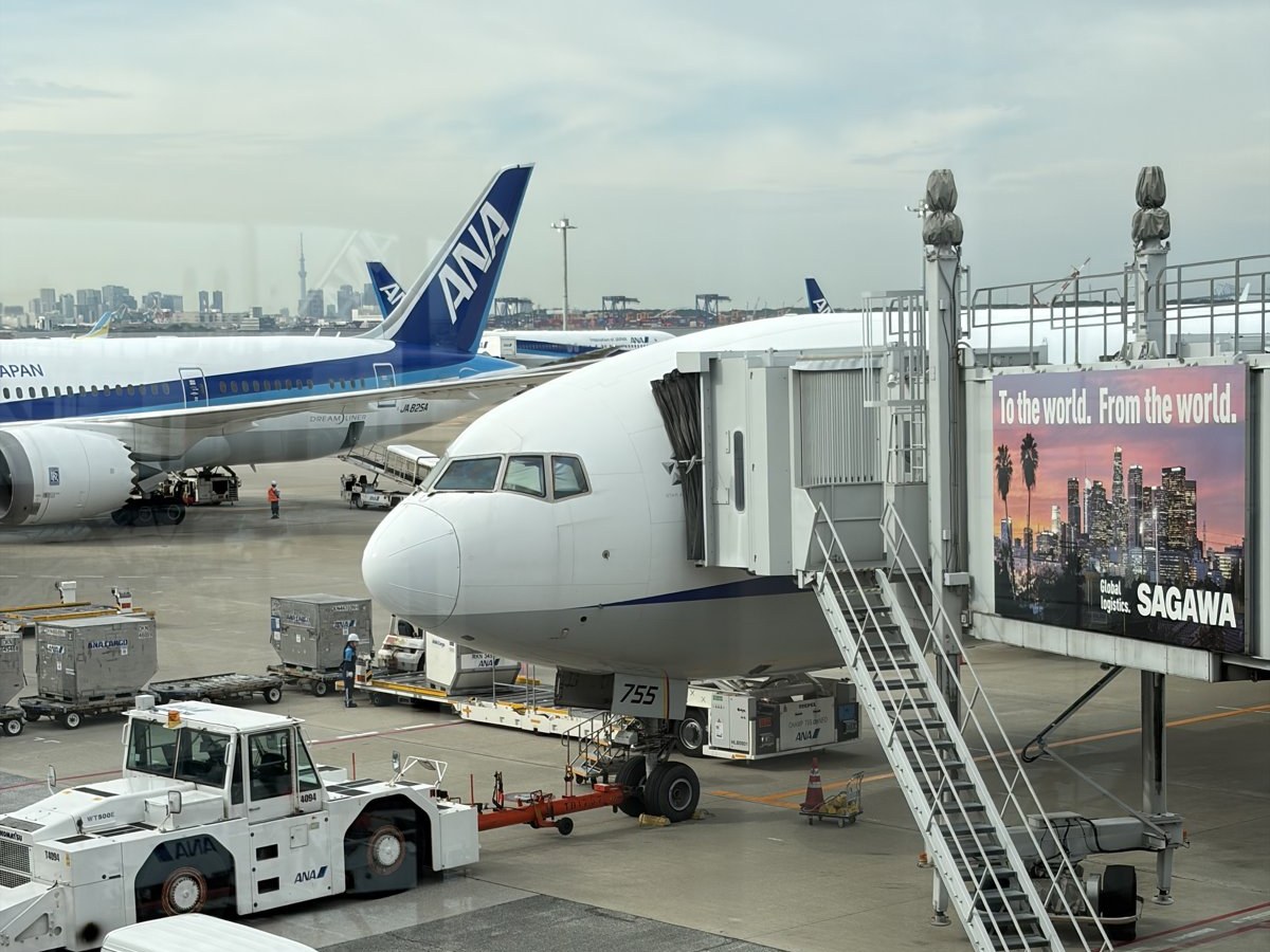 7月の修行の日、羽田空港の搭乗口から見たANA機