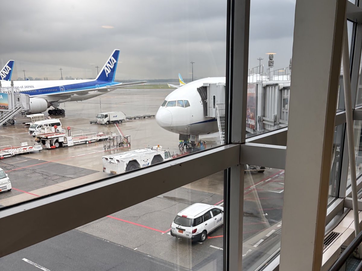 6月の修行の日、羽田空港第2ターミナルの窓から見たANA機